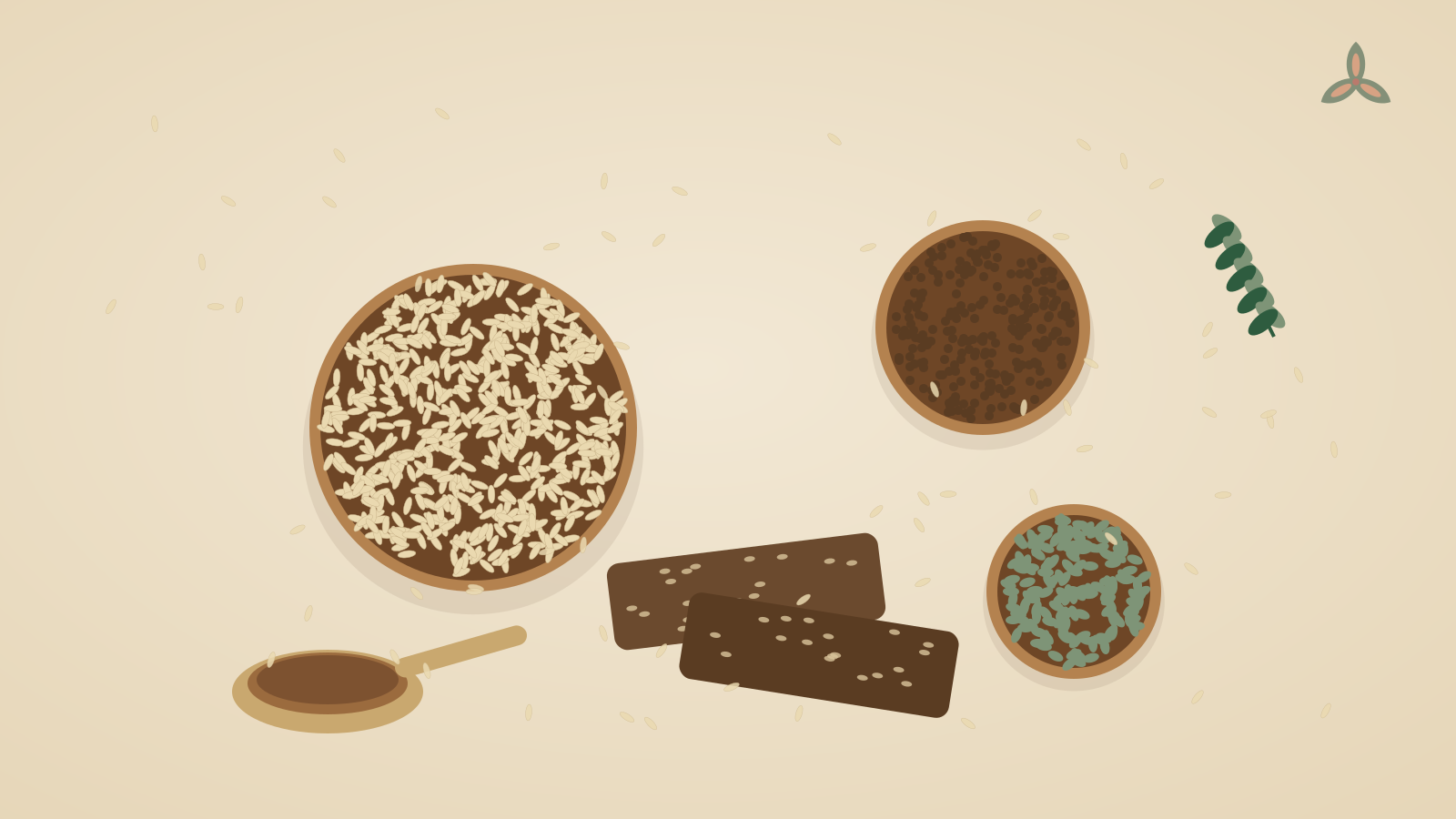 A warm overhead spread of grains, seeds, a protein scoop and bars, the ingredients behind Devi